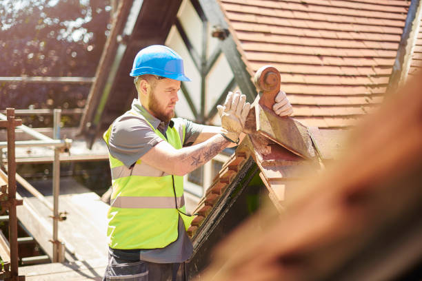 Best Roof Gutter Cleaning  in Lexico, CA
